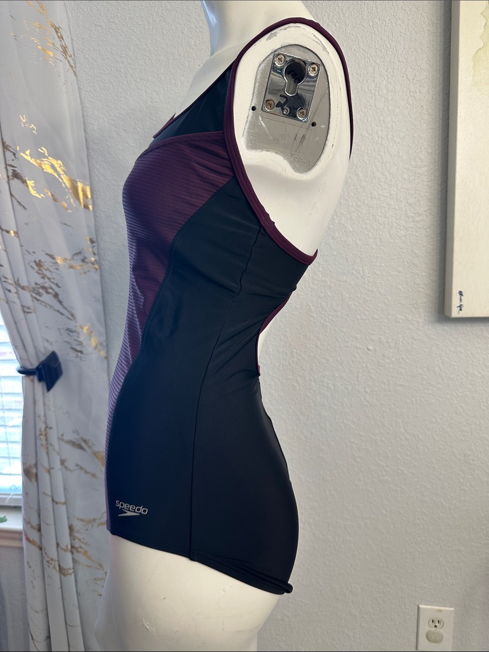 Speedo Plum and Black One-Piece Swimwear